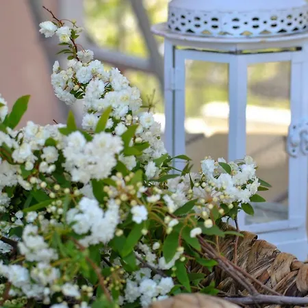 La Nonna Efrosini * Anomeria