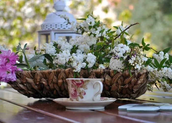 La Nonna Efrosini Appartamento *