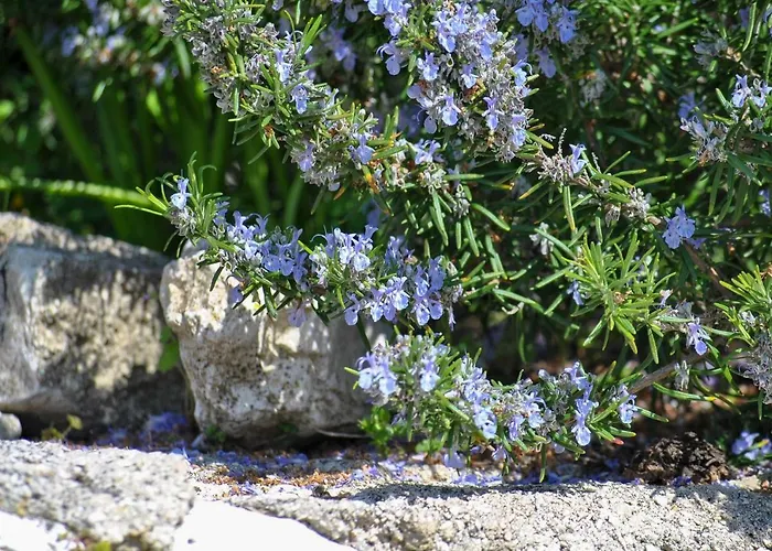 Appartamento La Nonna Efrosini *